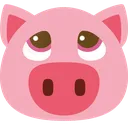 pigplead pigplead