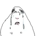 sniffle