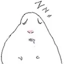 honkshoo