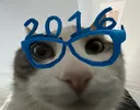 2016wires
