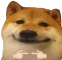 dogeshy