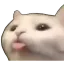 SillyCat