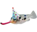 Birthdayboy