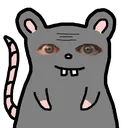 ratstare
