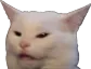 confusedCat