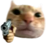 swaggun