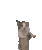 cdcatjump1