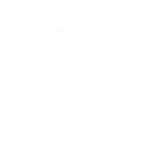 v_