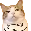 T_mad