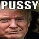 pussy