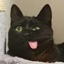 Goof Goof