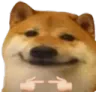 DogeShibaCheemShyIsForMe