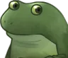 concerned_froge