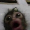 OOOHHHH