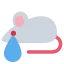 Crymouse Discord Emoji