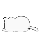 infinity_catanim11