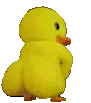 DuckShaker