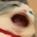 cry