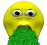 vomit