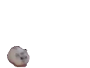 _Nyooooom