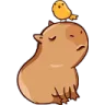 donation_Capybara