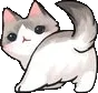 catbutt