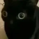 s_scared