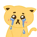 cry