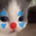 GatoClown