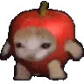 cat_applespin