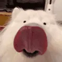 licka