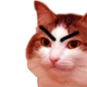 kiisuangry