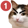 kiisupingangry