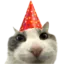 partycat