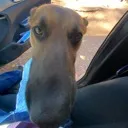 schloopyiswatchingyou