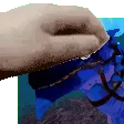 raptorpet