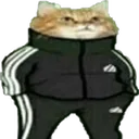 CatDripj