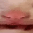 hiii2 hiii2