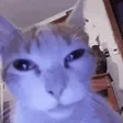 demeJ
