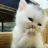 moksh_smile moksh_smile