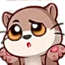 otterconfused