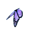 darkpurplebutterfly Discord Emoji
