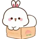 sTujiBox