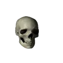 DZA_Skull