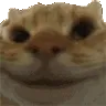 ohyes