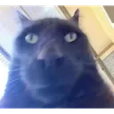 c_ok c_ok