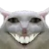 DD