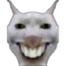 XX