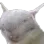 uh