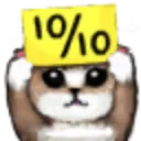 1010 1010